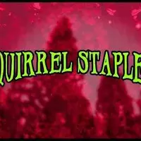 contents feed list image 4