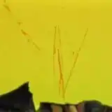 Nav thumbnail image