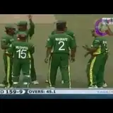 contents feed list image 4