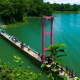 contents feed list image 3