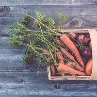 Carrots