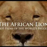 contents feed list image 3