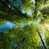 Introduction Thumbnail