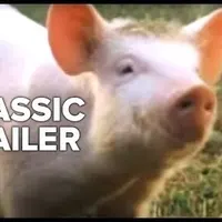 Item thumbnail image