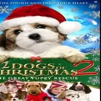 Best Kieth Merrill Movies