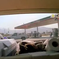 Item thumbnail image