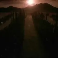 contents feed list image 3