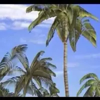 Nav thumbnail image
