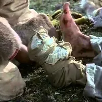 Item thumbnail image