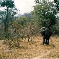 Nav thumbnail image