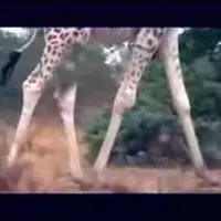 Item thumbnail image