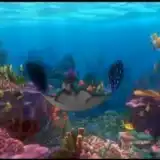 Nav thumbnail image