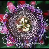 Item thumbnail image