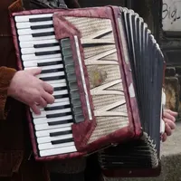 Accordion