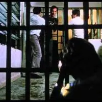 Item thumbnail image