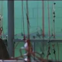 contents feed list image 3