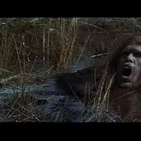 contents feed list image 4