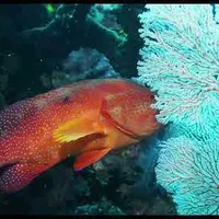 contents feed list image 2