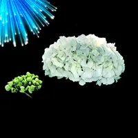 Hydrangeas