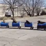 contents feed list image 2