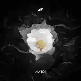 Nav thumbnail image