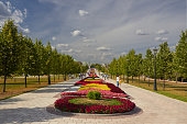 Item image_1