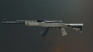 Item image_1 fallback