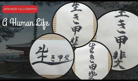 Item image_1