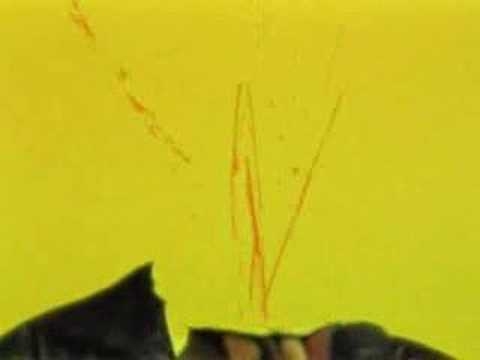 Item image_1
