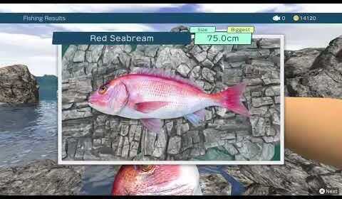 Item image_1