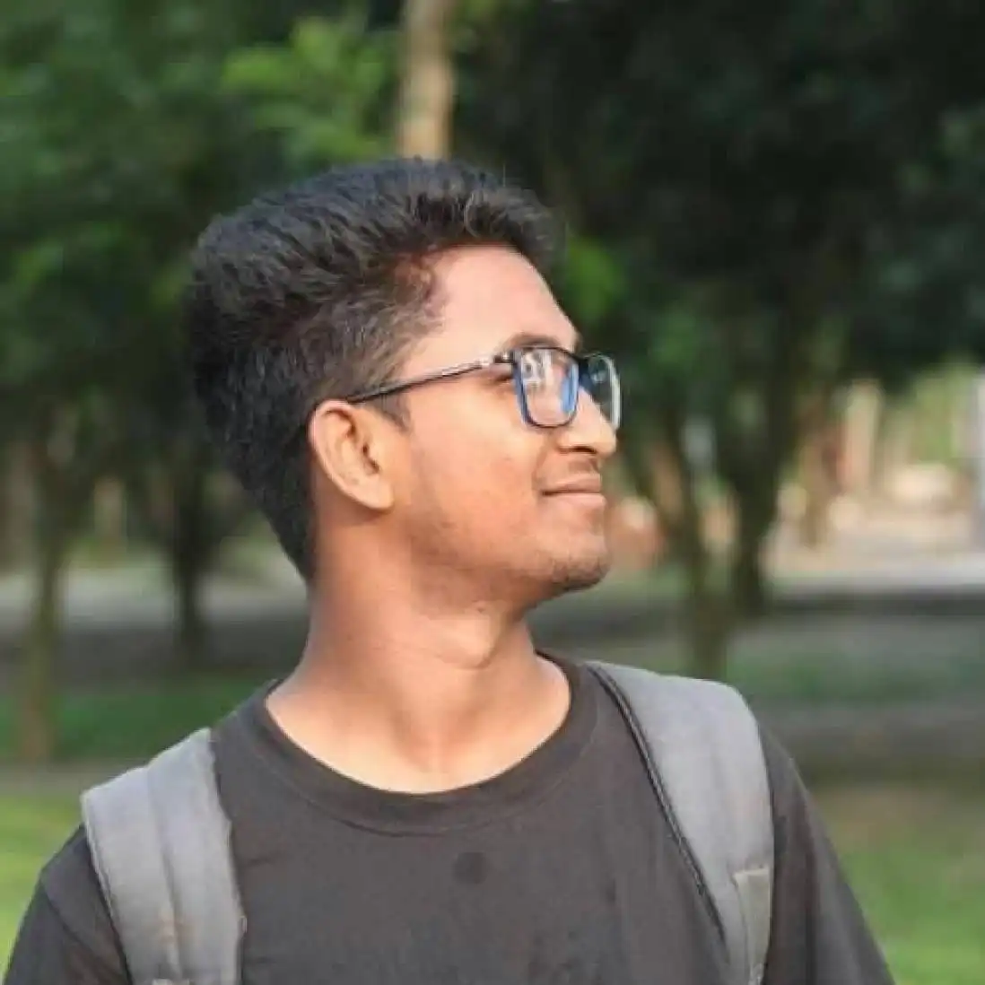 niloy1 profile image
