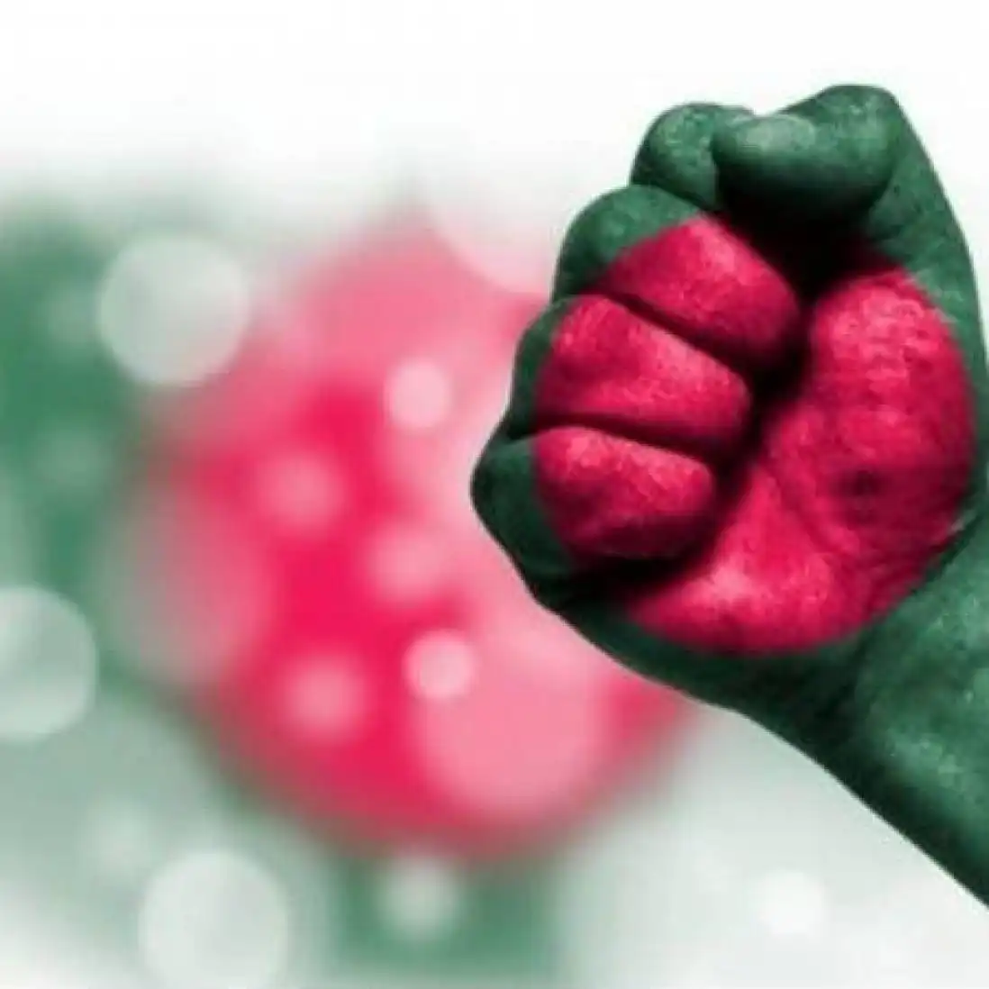 intesar profile image