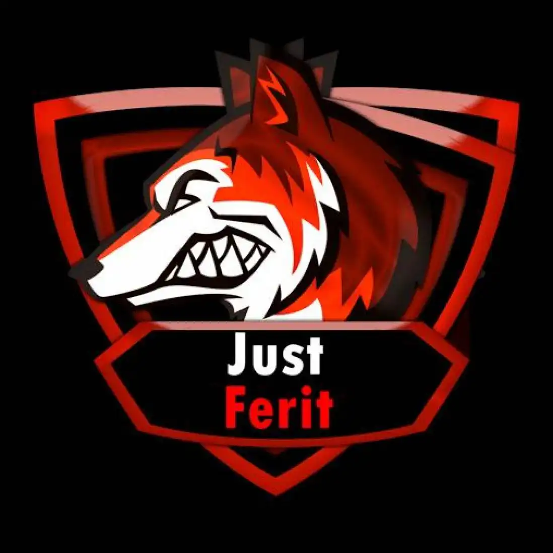 just-feridaev profile image