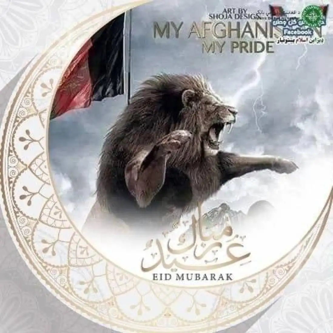 abdul64 profile image