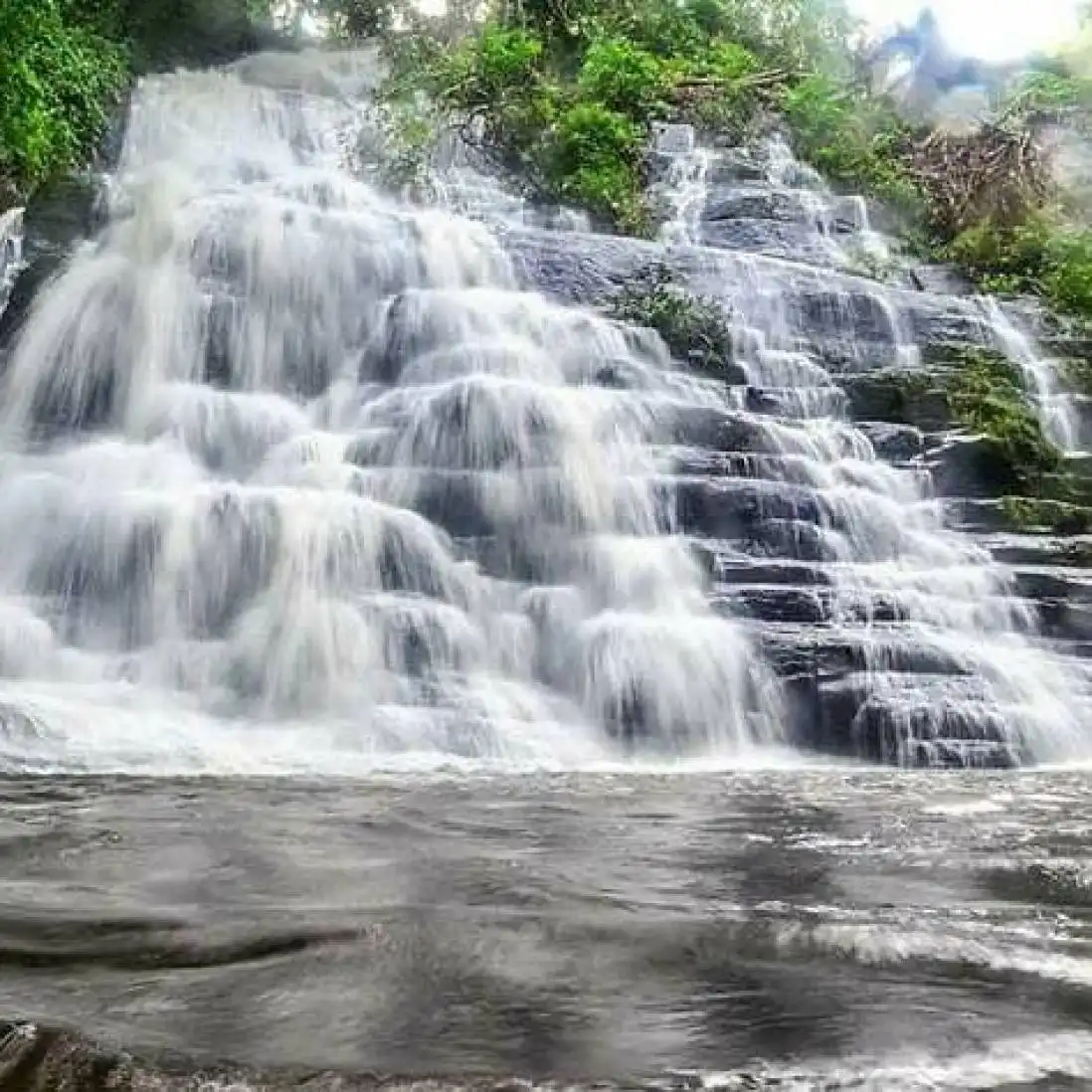 arouna profile image