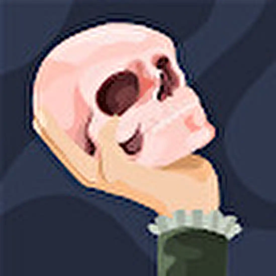 tanveer profile image