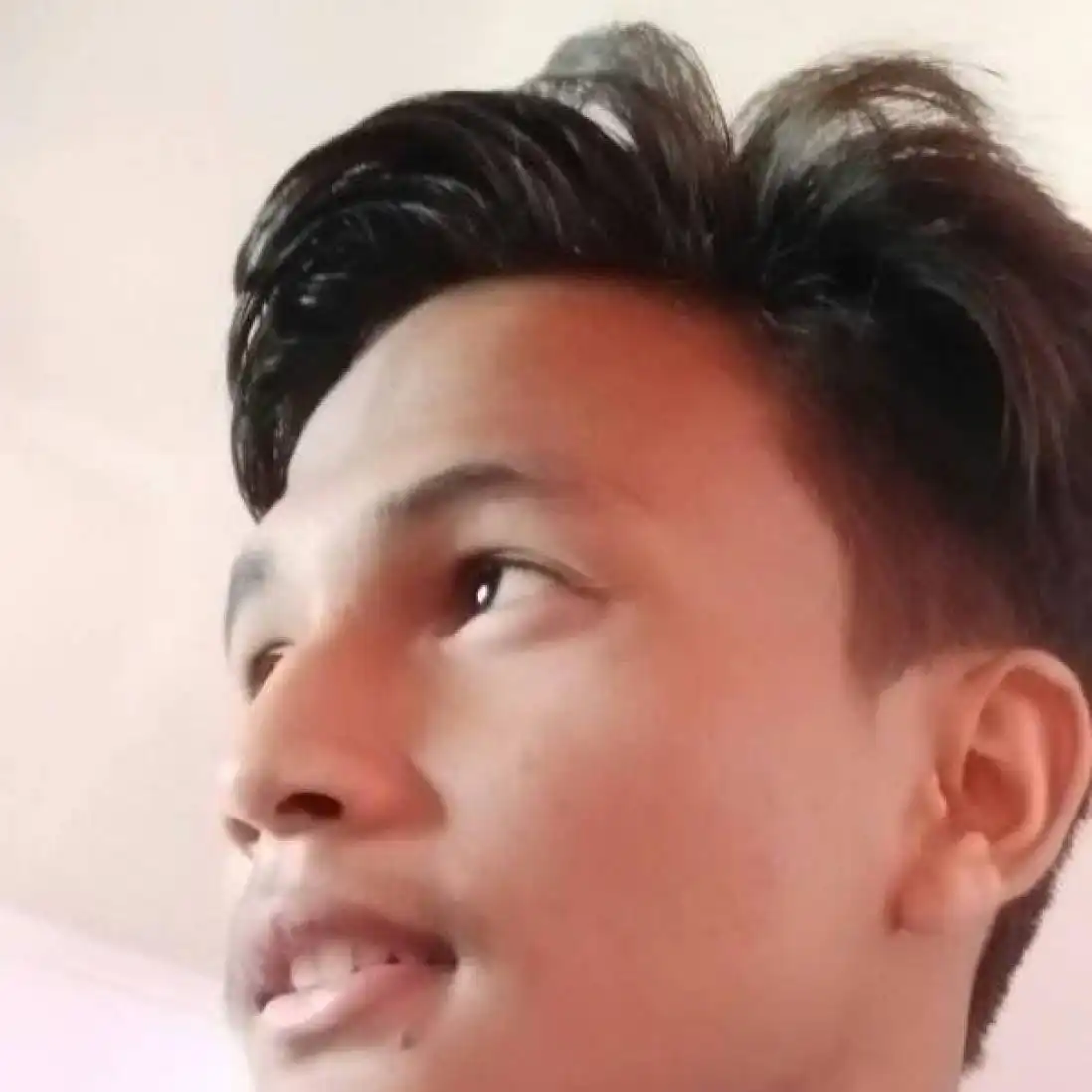 d.p.sh profile image