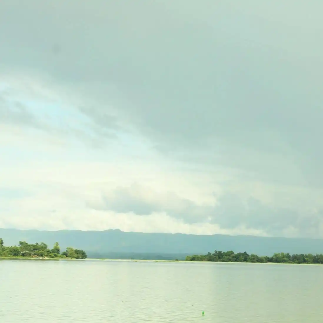 tanzina profile image