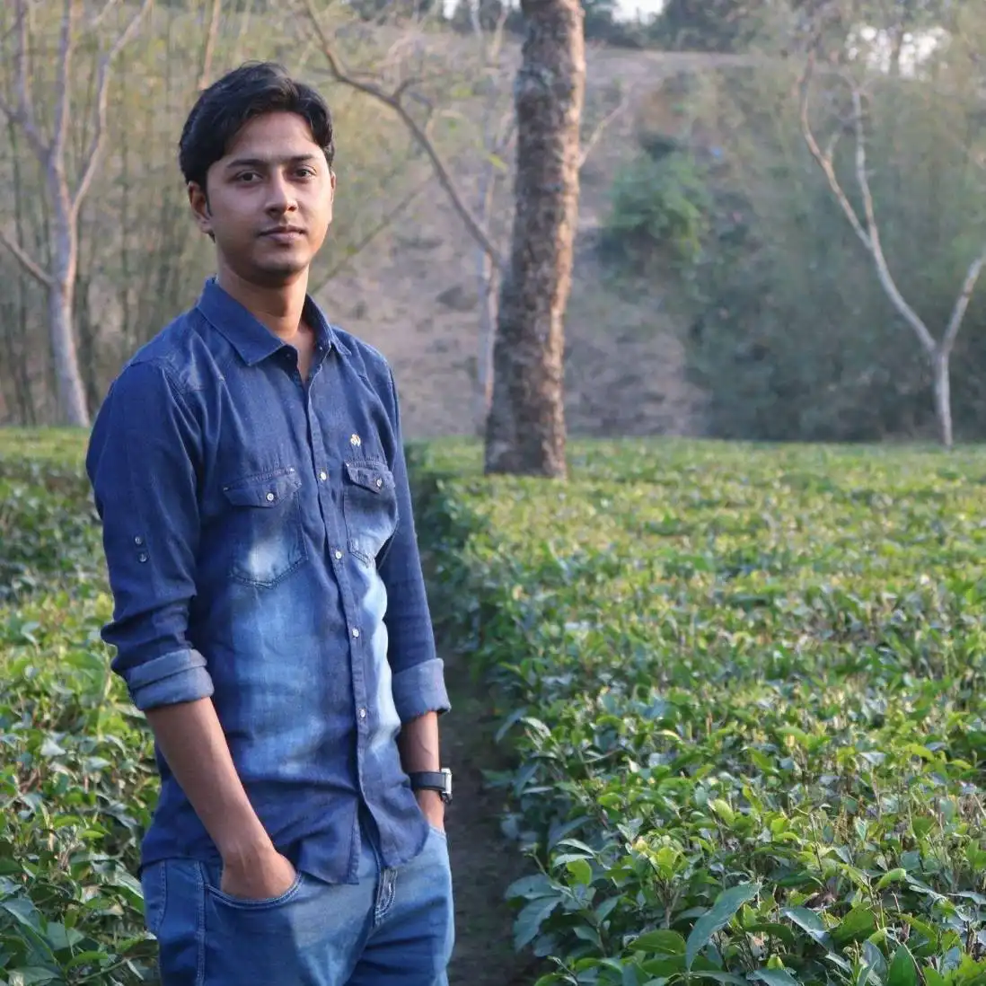 mostafizur34 profile image