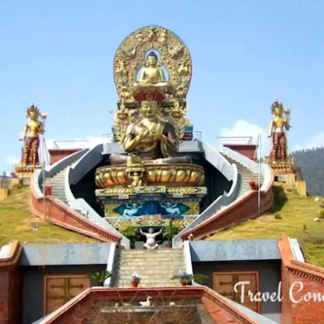 rashmi profile image