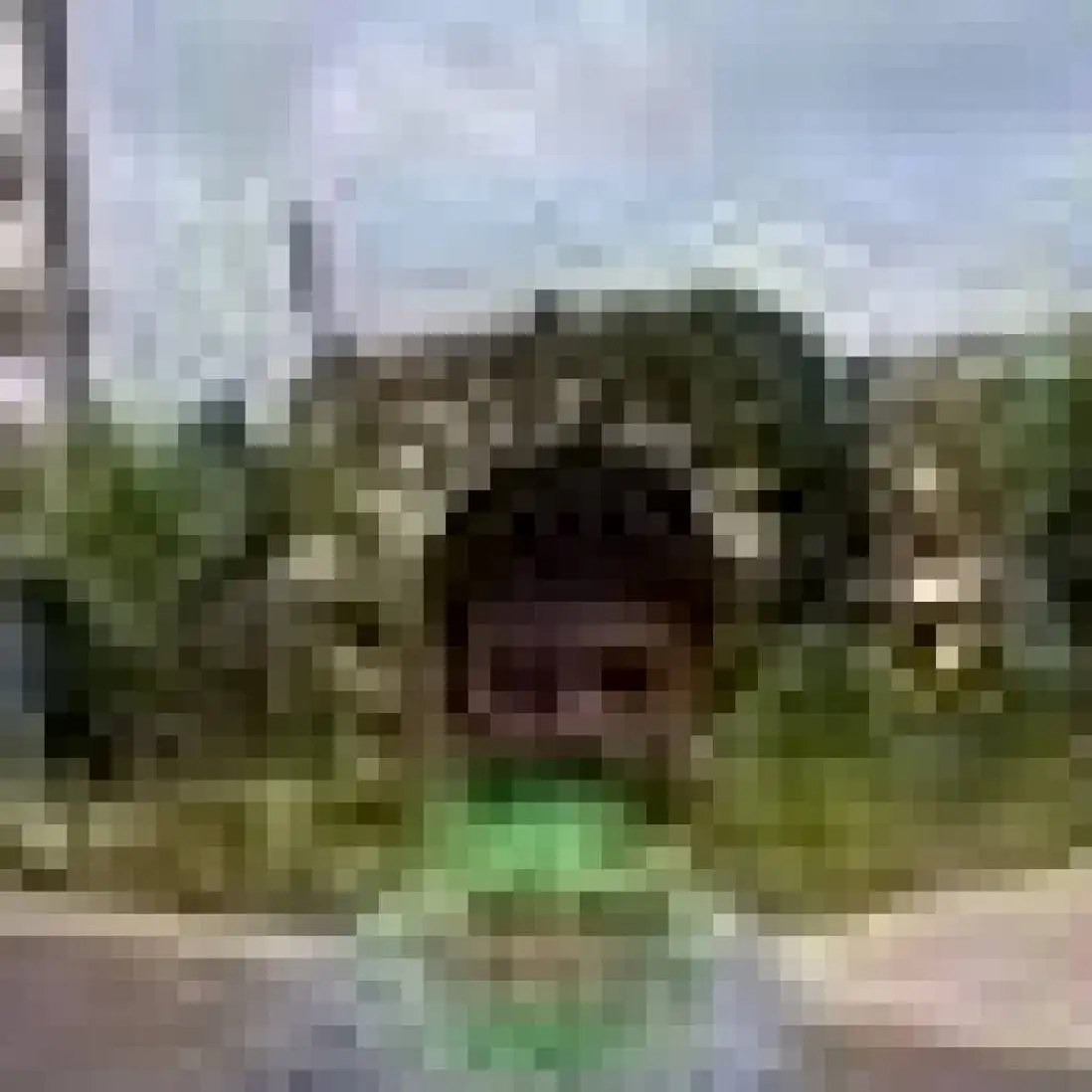 shubhro profile image